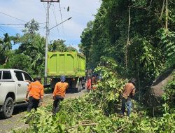 Tingkatkan Keandalan Listrik Jelang Idul Adha, PLN Padang Giatkan Pembersihan Jaringan