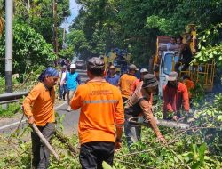 Antisipasi Cuaca Ekstrim, PLN Himbau Masyarakat untuk Peduli Keselamatan Kelistrikan