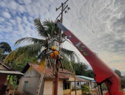 Momen HUT RI, Realisasi PMN ke PLN Merdekakan Listrik Bagi 953 Warga di 7 Desa Pelosok Bengkayang, Kalbar