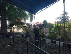 Lomba Ayam Kukuak Balenggek Ikut Meriahkan HJK Padang ke-355