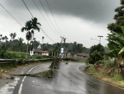 Dipicu Hujan Lebat dan Angin Kencang, Aliran Batang Sani Mengamuk