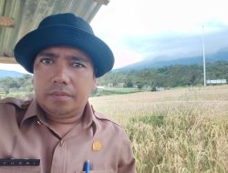 BBI Golden Arm Siapkan Satu Ton Bibit Beras Merah