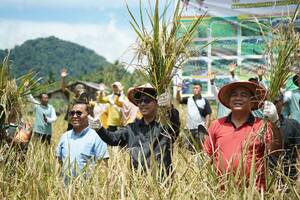 Khairunas: Metode TOT Lebih Untungkan Petani