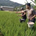 Polisi di Padang Bantu 150 Kg Pupuk ke Petani untuk Dukung Swasembada Pangan