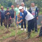 Tunjukkan Komitmen, PT CNMS Tanam Jagung Perdana Bersama Petani di Payo Solok