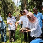 Dinas Kelautan dan Perikanan Sumbar Dorong Peningkatan Kesejahteraan Nelayan dan Petani Pembudidaya