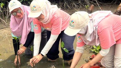 Gandeng WWF Indonesia, PLN jadi perusahaan pertama di tanah air adopsi kerangka kerja TNFD.