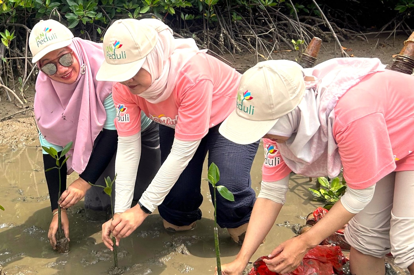 Gandeng WWF Indonesia, PLN jadi perusahaan pertama di tanah air adopsi kerangka kerja TNFD.