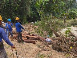 PLN Sukses Pulihkan Pasokan Listrik Pasca Banjir dan Longsor di Kabupaten Lima Puluh Kota