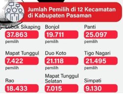 PSU Pasaman: Antara Koreksi Demokrasi dan Ancaman Polarisasi Lokal