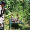 Warga Norwegia Ditemukan Tewas Mengapung di Sungai Limapuluh Kota