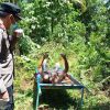 Warga Norwegia Ditemukan Tewas di Sungai Limapuluh Kota