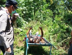 Warga Norwegia Ditemukan Tewas di Sungai Limapuluh Kota