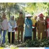 Dasawisma Tulip 8 Masuk Nominasi 6 Besar Dasawisma Berprestasi Tingkat Sumbar