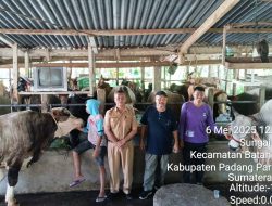 Lalu Lintas Hewan Kurban Diawasi, Disnak dan Keswan Bentuk 4 Tim
