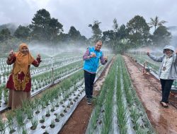 Petani Naik Kelas, PLN UP3 Bukittinggi Giatkan Program Pompanisasi dan Elektrifikasi Pertanian di Agam