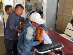 Remaja Perempuan Tewas Dianiaya Ayah Tiri di Dharmasraya, Pelaku Diburu Polisi