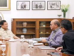 Danantara Indonesia Matangkan Strategi Investasi, Bertemu Presiden Prabowo