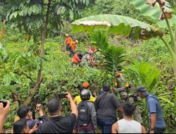 Tim SAR Gabungan Evakuasi Seorang Buruh Terjepit Pohon yang Ditebangnya di Gunung Panggilun