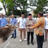 Perumda AM Padang Tebar 88 Hewan Kurban