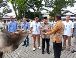 Perumda AM Padang Tebar 88 Hewan Kurban