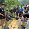 Tiga Kurir Terciduk BNNP Sumbar Bawa 17 Kilogram Ganja