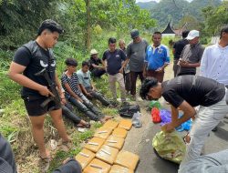 Tiga Kurir Terciduk BNNP Sumbar Bawa 17 Kilogram Ganja