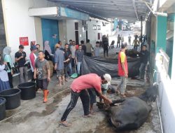 Semangat Berbagi di Hari Raya Idul Adha, PLN UID Sumatera Barat Salurkan Daging Kurban ke Masyarakat