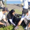 Hari Lingkungan Hidup Sedunia 2025: PLN Gerak Serentak Bersihkan Sampah di 56 Lokasi Se-Indonesia