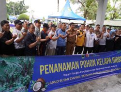 Hari Lingkungan Hidup Sedunia, PLN UID Sumbar Kolaborasi Bersama TNI AU dan Forum BUMN Laksanakan Penghijauan di Lanud Tabing