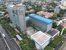 Wujud Kontribusi ke Negara, PLN Setor Rp65,59 Triliun Lewat Dividen, Pajak, dan PNBP