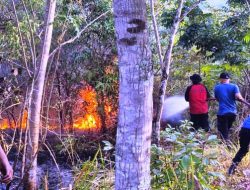 Damkar Banyak Terima Laporan Kebakaran Lahan dan Rumah Warga
