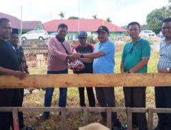 Hewan Kurban Kemenag Solok Selatan Meningkatkan 100 Persen