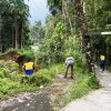 Terban, Ruas Jalan Padang Alai-Palak Kubu Butuh Perbaikan Segera