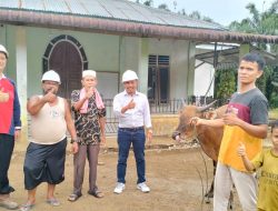 PT. RPSM Salurkan 3 Ekor Sapi dan 2 Ekor Kambing Hewan Kurban Kepada Masyarakat