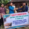PT. Anam Koto Serahkan Empat Ekor Sapi Kurban