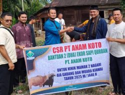 PT. Anam Koto Serahkan Empat Ekor Sapi Kurban