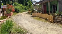 Kondisi Jalan Lingkar di Nagari Sialang Kecamatan Kapur IX Kabupaten Limapuluh Kota yang tak kunjung diperbaiki oleh pemerintah daerah.