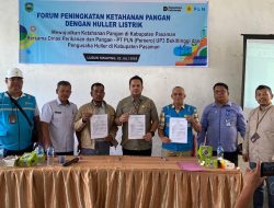 Listrik untuk Rakyat: PLN Dorong Hilirisasi Gabah di Pasaman