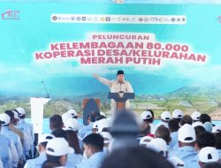 PLN Dukung Penuh Integrasi Layanan Kelistrikan ke Koperasi Desa Merah Putih, Tingkatkan Pertumbuhan Ekonomi Lokal
