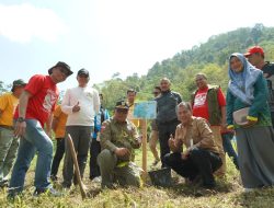 Gandeng TNKS, Jalur Pendakian Gunung Kerinci Ditanami Pohon