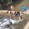 Perumda AM Padang Imbau Masyarakat tak Buang Sampah di Sungai