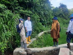 Saat meninjau saluran irigasi di Kelurahan Ganting, Kecamatan Padangpanjang Timur