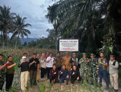 Satgas PKH bersama jajaran Kejati Sumbar tertibkan Hutan di Pasaman