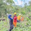 PLN Gerak Cepat Pulihkan Gangguan SUTET 275 kV Kiliranjao-Payakumbuh