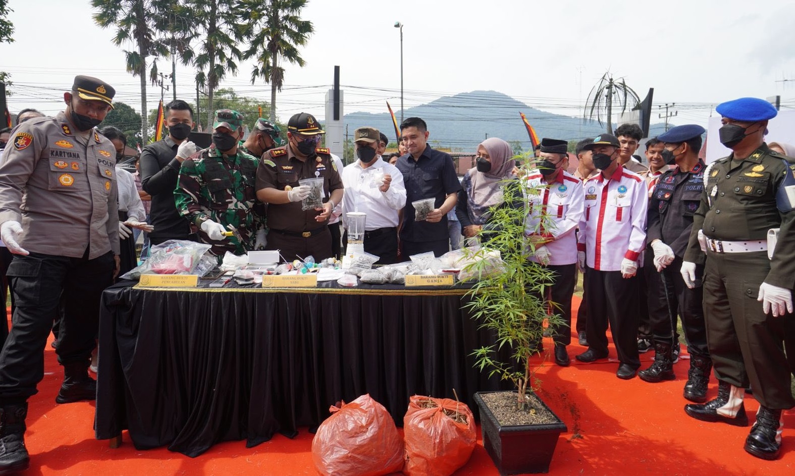 Kegiatan Pemusnahan Barang Bukti Kejahatan termasuk pohon Ganja yang masih hidup oleh Kejari Padangpanjang di Halaman Balai Kota,  Rabu (27/08/2025).