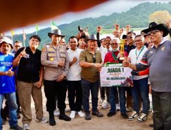 Kuda asal Kota Bukittinggi Berjaya di Padangpanjang