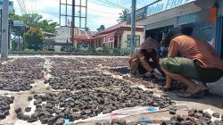 Petani Gambir saat menjemur Gambir sebelum dipasarkan