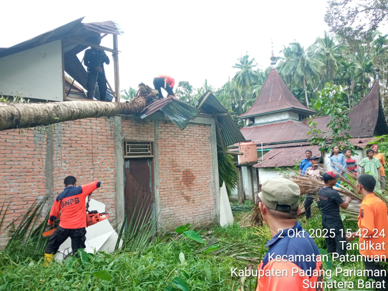 Petugas BPBD Padangpariaman bersama masyarakat saat membersihkan pohon yang menimpa rumah warga.