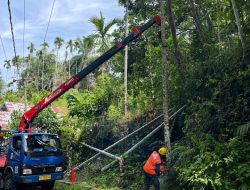 Momentum Hari Kesaktian Pancasila, PLN ULP Balai Selasa Gencarkan Pembersihan ROW dan Gelar Peralatan
